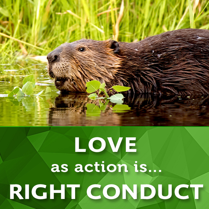 Love as action is Right Conduct.