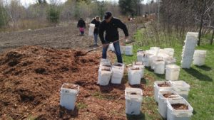 Earth Day Tree Planting - 02